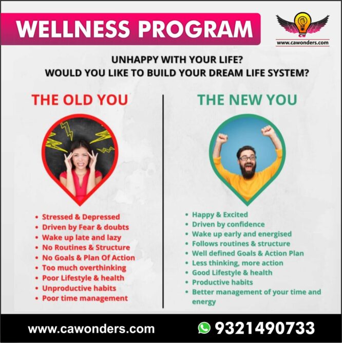 wellness program online